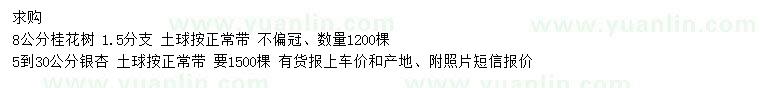 求購(gòu)米徑8公分桂花樹(shù)、5-30公分銀杏