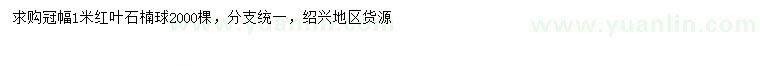 求購冠幅1米紅葉石楠球