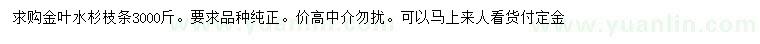 求購(gòu)金葉水杉枝條
