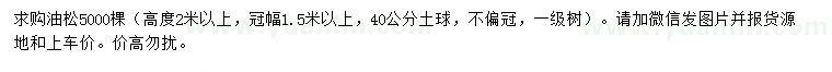 求購(gòu)高2米以上油松
