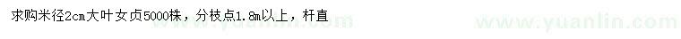 求購米徑2公分大葉女貞