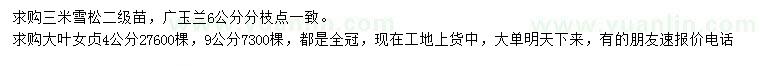 求購(gòu)雪松、廣玉蘭、大葉女貞