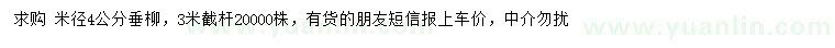 求購米徑4公分垂柳