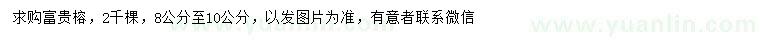 求購(gòu)8-10公分富貴榕