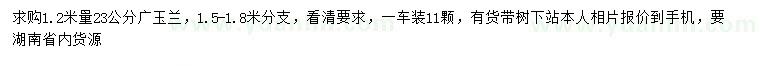 求購1.2米量23公分廣玉蘭