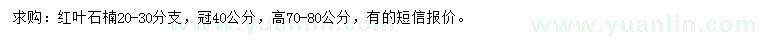 求購高70-80公分紅葉石楠