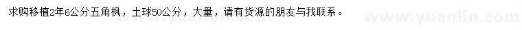 求購6公分五角楓