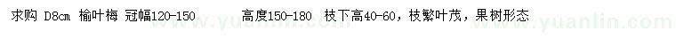 求購高150-180公分榆葉梅