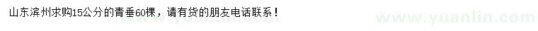 求購(gòu)15公分青垂