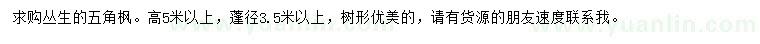 求購(gòu)高5米以上五角楓