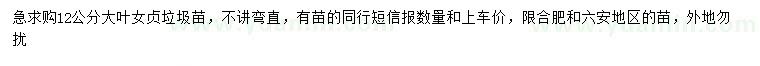 求購(gòu)12公分大葉女貞