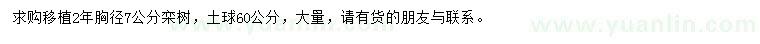求購(gòu)胸徑7公分欒樹(shù)