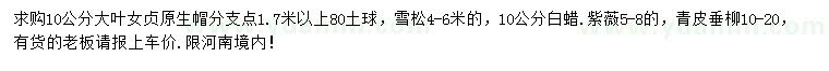求購大葉女貞、雪松、白蠟等