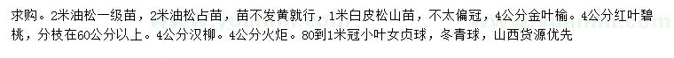 求購油松、白皮松、金葉榆等