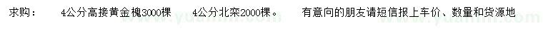 求購4公分黃金槐、北欒