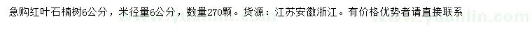 求購米徑6公分紅葉石楠