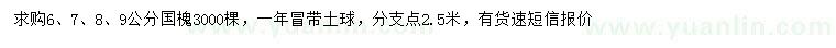 求購6、7、8、9公分國槐