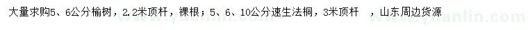 求購5、6公分榆樹、5、6、10公分速生法桐