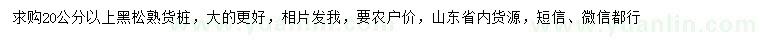 求購(gòu)20公分以上黑松