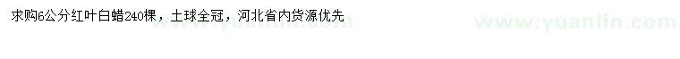 求購6公分紅葉白蠟