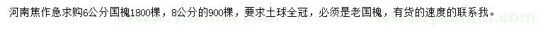 求購6、8公分國槐