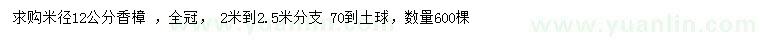 求購米徑12公分香樟