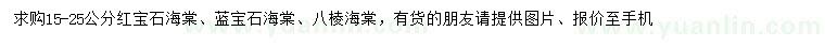 求購紅寶石海棠、藍(lán)寶石海棠、八棱海棠