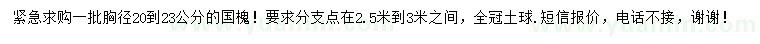 求購胸徑20-23公分國槐 