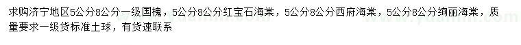 求購國槐、紅寶石海棠、西府海棠等