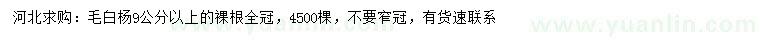 求購9公分以上毛白楊