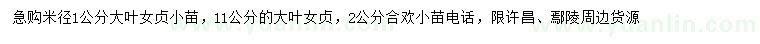 求購大葉女貞小苗、大葉女貞、合歡小苗