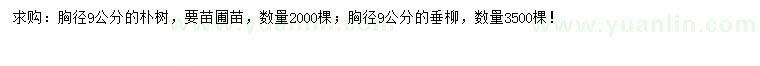 求購(gòu)胸徑9公分樸樹(shù)、垂柳