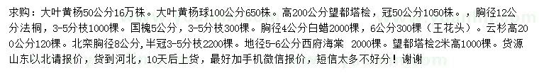 求購(gòu)大葉黃楊、望都塔檜、法桐等