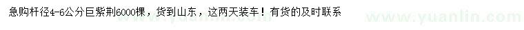 求購(gòu)桿徑4-6公分巨紫荊