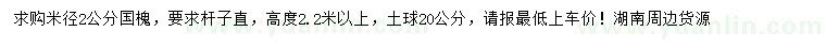 求購米徑2公分國槐