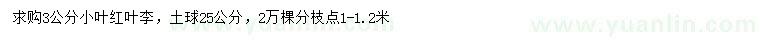 求購(gòu)3公分小葉紅葉李