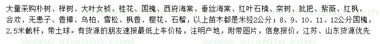 求購樸樹、櫸樹、國槐等