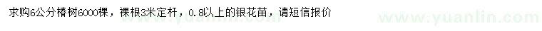求購6公分椿樹