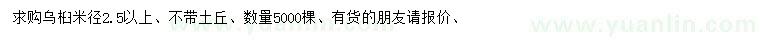 求購米徑2.5公分以上烏桕