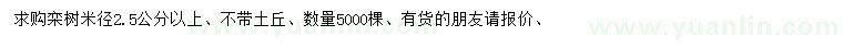 求購(gòu)米徑2.5公分以上欒樹