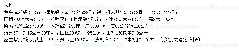 求購黃金槐、饅頭柳、白蠟等