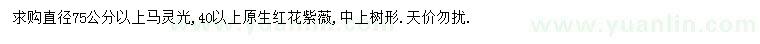 求購直徑75公分以上馬靈光、40公分以上原生紅花紫薇