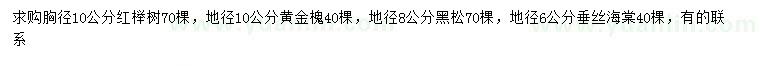 求購紅櫸、黃金槐、黑松等