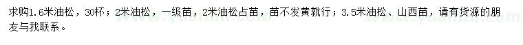 求購1.6、2、3.5米油松