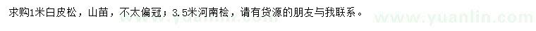 求購1米白皮松、3.5米河南檜
