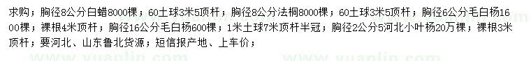 求購(gòu)白蠟、法桐、毛白楊等