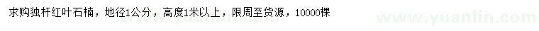 求購地徑1公分紅葉石楠
