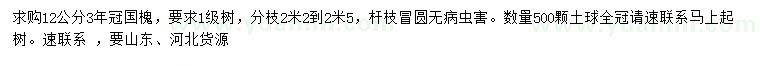 求購12公分國槐