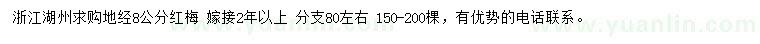 求購地徑8公分紅梅
