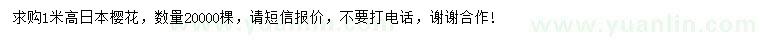 求購高1米日本櫻花